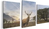 Artaza Canvas Schilderij Drieluik Hert In Het Landschap  - 120x60 - Foto Op Canvas - Canvas Print