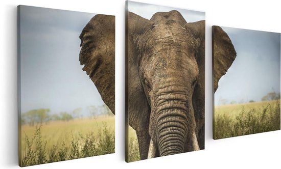 Artaza Canvas Schilderij Drieluik Olifant In Het Wild - Kleur - 120x60 - Foto Op Canvas - Canvas Print