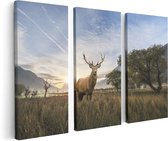 Artaza Canvas Schilderij Drieluik Hert In Het Landschap  - 120x80 - Foto Op Canvas - Canvas Print