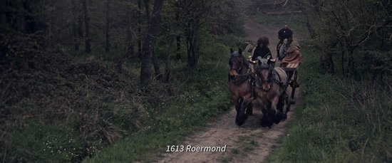 Video afspelen