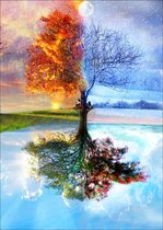 Diamond Painting - Do It Yourself Paintings - Vier Seizoenen - Zomer - Lente - Herfst - Winter - Boom - Landschap - 30x40 cm