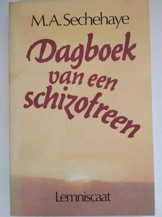 9789060694176 - Dagboek van een schizofreen