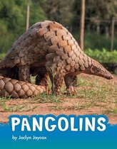 Animals- Pangolins