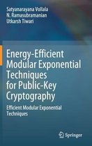 Energy-Efficient Modular Exponential Techniques for Public-Key Cryptography