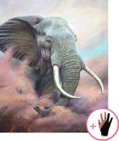 Schilderen Op Nummer Volwassenen Olifant Dieren – 40x50 cm - Inclusief Tekenhandschoen - Paint By Number Volwassenen