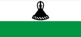 Vlag Lesotho 100x150cm - Glanspoly