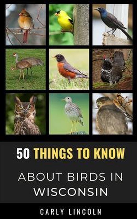 50 Things to Know about Birds- United States- 50 Things to Know About Birds in Wisconsin