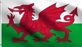 Vlag Van Wales - Grote Welsh Flag - Wales UK /Y Ddraig Goch Rode Draak Vlaggenmast Vlag - Gemaakt Van 100% Polyester - UV & Weerbestendig - Met Versterkte Mastrand & Messing Ogen -