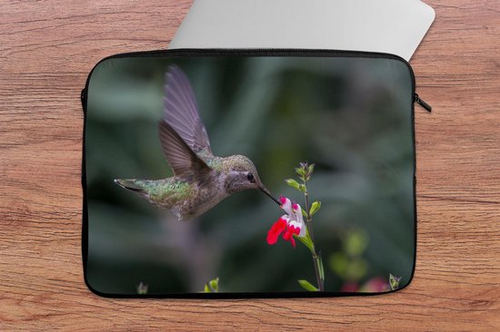 Housse ordinateur 13 pouces 34x24 cm - Colibri Calliope - Housse Macbook & Laptop Un colibri calliope vole près d'une fleur - Housse ordinateur portable avec photo
