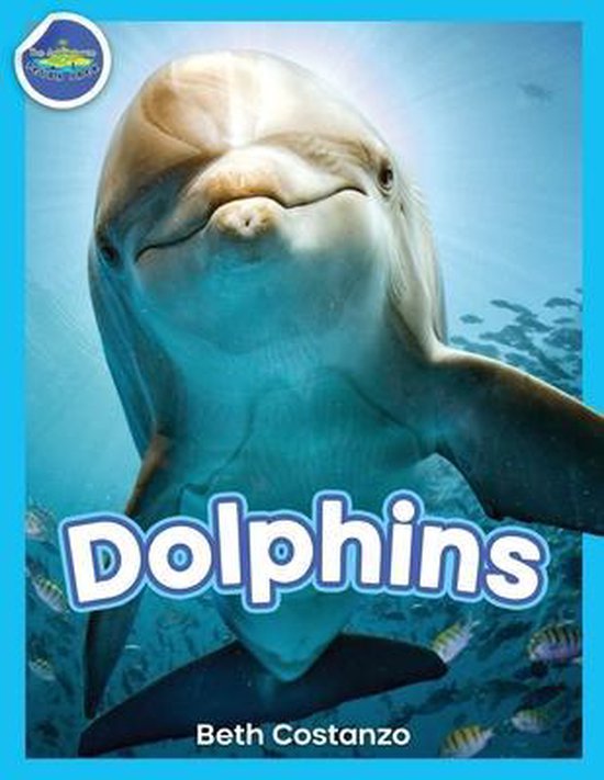 Dolphins! - cover