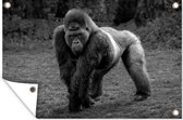 Muurdecoratie Een Gorilla loopt op zijn handen en benen - zwart wit - 180x120 cm - Tuinposter - Tuindoek - Buitenposter