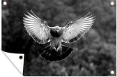 Tuinposter - Tuindoek - Tuinposters buiten - Een vliegende duif tussen de bomen - zwart wit - 120x80 cm - Tuin