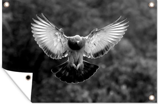 Een vliegende duif tussen de bomen - zwart wit - Tuindoek