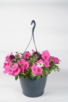 Hangpot Diana - met ingebouwd waterreservoir - 45 cm