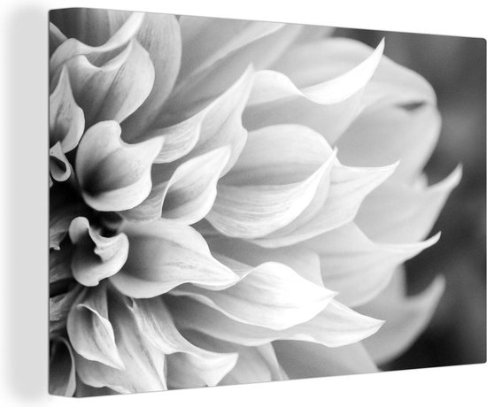 Canvas Schilderij Close-up abstracte bloem - zwart wit - 30x20 cm - Wanddecoratie