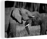 Canvas Schilderij Stoeiende olifanten - zwart wit - 30x20 cm - Wanddecoratie