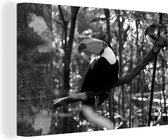 Canvas Schilderij Toekan in boom - zwart wit - 120x80 cm - Wanddecoratie