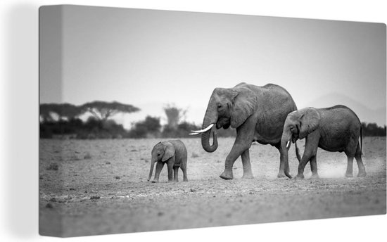 OneMillionCanvasses - Canvas - Olifanten - Kenia - Olifant - Familie - Savanne - Landschap - Kamer decoratie - Wanddecoratie - 80x40 cm