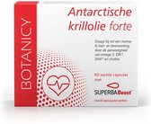ANTARCTISCHE KRILLOLIE FORTE OMEGA 3 met SuperbaBoost, hooggedoseerde, omega-3 vetzuren (DHA & EPA), met astaxanthine en choline, zeer goede biobeschikbaarheid (60 capsules)
