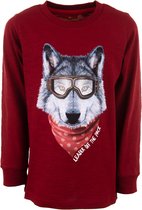 Stones & Bones Jongens Longsleeve Tshirt Leader Of The Pack Bordo