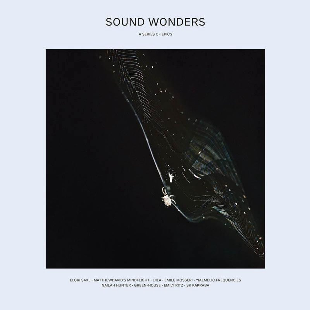 Various Artists - Sound Wonders: A Series of Epics (LP) (Limited Edition)