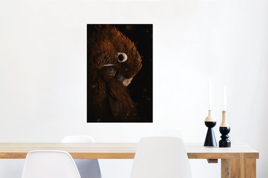 Affiche Perroquet - Vogel - Ressorts - 40x60 cm