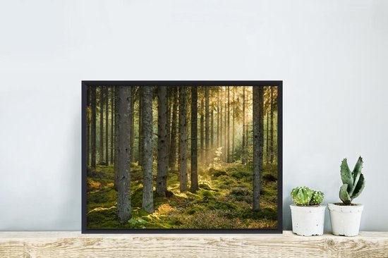 Affiche avec cadre Forêt - Arbre - Soleil - 30x20 cm