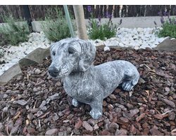 Teckel Tuinbeeld - 33cm Lang - Grijs Beton - Winterhard Hondenbeeld voor Binnen & Buiten - Luxe Dachshund Decoratie