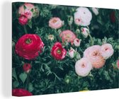 Canvas Schilderij Bloemen - Bladeren - Roze - 30x20 cm - Wanddecoratie