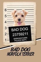 Bad Dog Norfolk Terrier