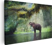 Artaza Canvas Schilderij Vrolijke Olifant In Het Water - 90x60 - Foto Op Canvas - Canvas Print - Muurdecoratie