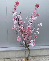 Seta Fiori - bloesemboom - kunstboom - roze - 170cm -