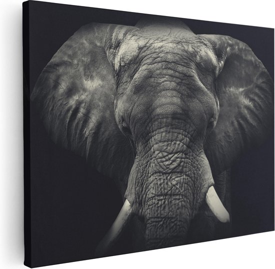 Artaza Peinture sur Toile Tête d'éléphant - Éléphant - Wit - 40x30 - Klein - Photo sur Toile - Impression sur Toile
