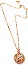 Ketting Dames Folli Follie 3N2T035RC (25 cm)