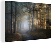 Canvas Schilderij Bos - Mist - Bomen - Bospad - Natuur - Planten - 30x20 cm - Wanddecoratie