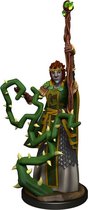 Wizkids: Dungeons and Dragons - Nolzur's Marvelous Miniatures - Firbolg Female Druid