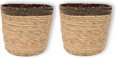 Set van 2 WLPlants Hoogwaardige Plantenmanden Bandu Ø19 - Zwart - Hoogte 21 cm - Luxe Bloempot gemaakt van zeegras - Geschikt als plantenpot - Binnen te gebruiken