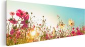 Artaza - Peinture sur toile - Champ de fleurs de Kosmos avec un soleil levant - 120 x 40 - Groot - Photo sur toile - Impression sur toile
