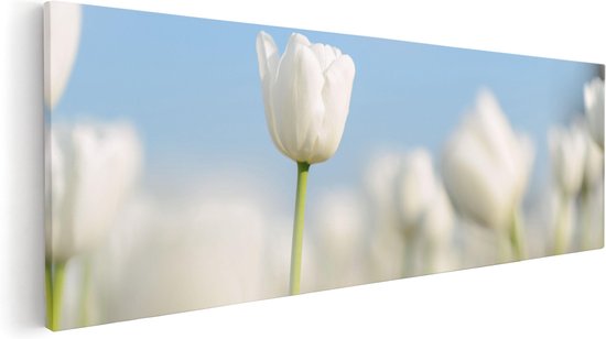 Artaza Canvas Schilderij Witte Tulpen - Bloemen - 120x40 - Groot - Foto Op Canvas - Canvas Print