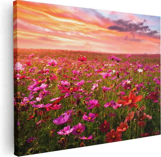 Artaza Canvas Schilderij Kleurrijke Kosmos Bloemenveld - 40x30 cm - Klein - Wanddecoratie Woonkamer - Schilderijen - Muurdecoratie