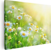 Artaza Canvas Schilderij Witte Kamille Bloemen Met Zonneschijn - 40x30 - Klein - Foto Op Canvas - Canvas Print