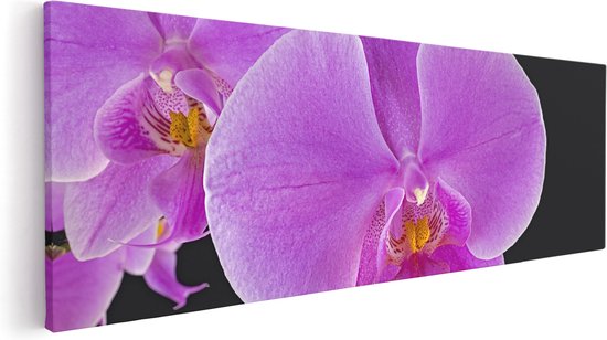 Artaza Canvas Schilderij Licht Paarse Orchidee - Bloem - 90x30 - Foto Op Canvas - Canvas Print