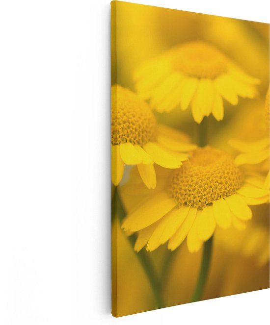 Artaza Canvas Schilderij Gele Kamille Bloemen - 80x120 - Groot - Foto Op Canvas - Canvas Print