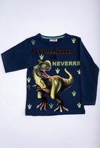 Dino jongens blouse blauw met lange mouwen 7-8 Jaar