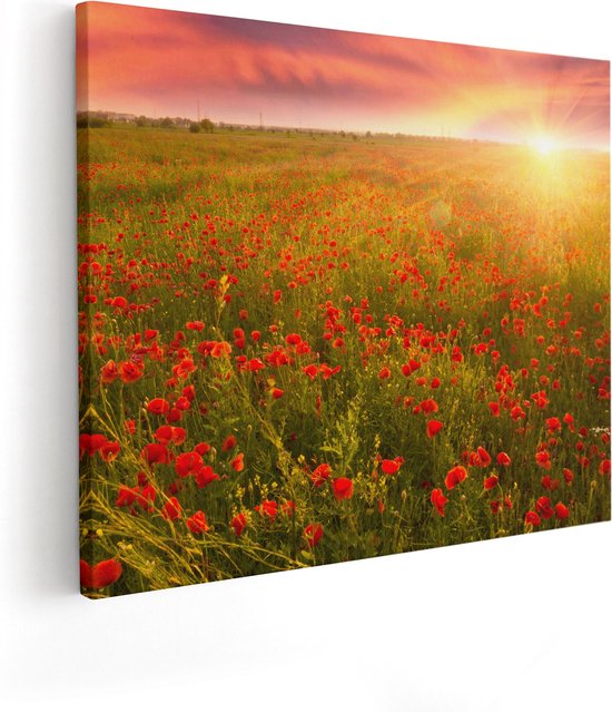 Artaza Canvas Schilderij Rode Klaproos Bloemenveld - Zonsondergang - 50x40 - Foto Op Canvas - Canvas Print