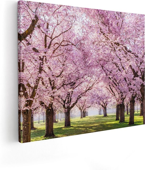 Artaza Canvas Schilderij Roze Bloesembomen Park - Bloemen - 50x40 cm - Wanddecoratie Woonkamer - Schilderijen - Muurdecoratie