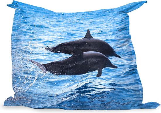 PillowMonkey zitzak - Dolfijn - Zee - Dier - 140x100 cm - Binnen en Buiten  | bol.com