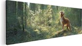 Artaza Canvas Schilderij Retriever Hond In Het Bos Met Zon - 120x40 - Groot - Foto Op Canvas - Canvas Print