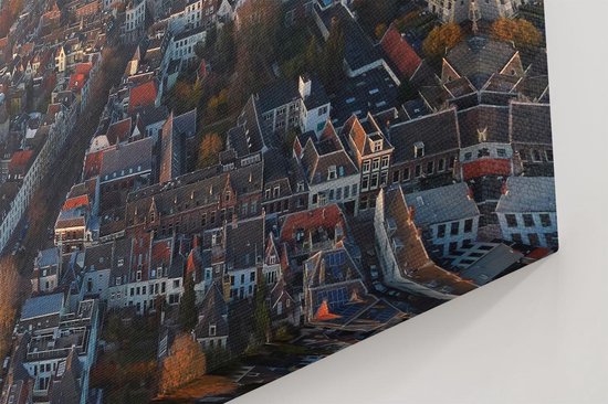 Gros plan d'une peinture offrant une vue à vol d'oiseau d'Utrecht. Toits de maisons aux tuiles rouges et grises, avec des arbres aux couleurs d'automne.