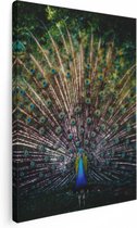Artaza Canvas Schilderij Pauw Met Kleurrijke Veren - Kleur - 60x80 - Foto Op Canvas - Canvas Print